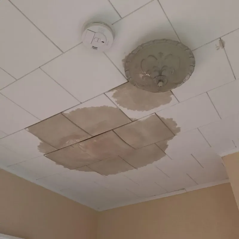Ceiling Water Damage Repair in Rialto, CA